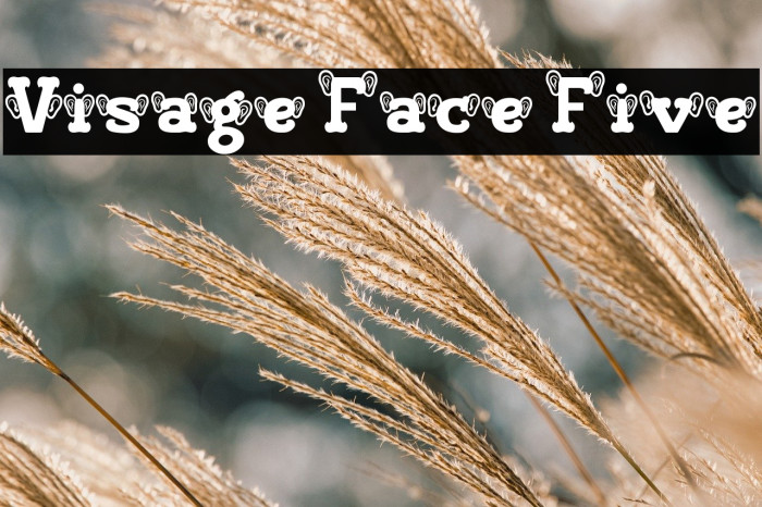 Visage Face Five Font examples