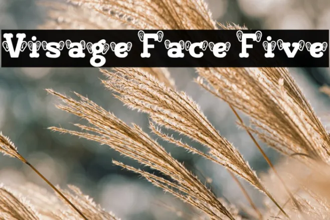 Visage Face Five Example 2