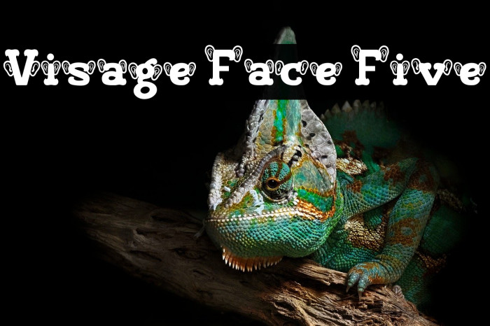 Visage Face Five Font examples