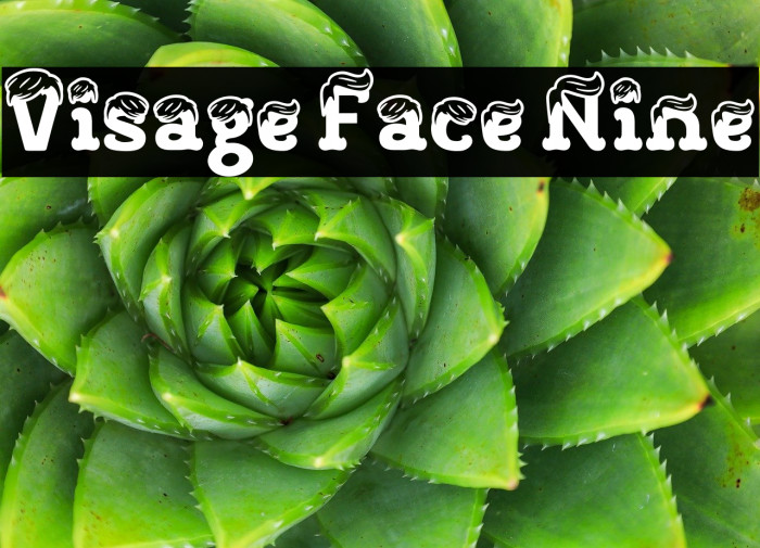 Visage Face Nine Fuentes examples