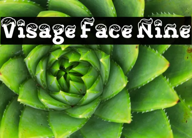 Visage Face Nine Example 1