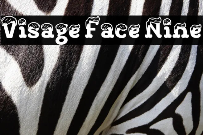 Visage Face Nine Example 2