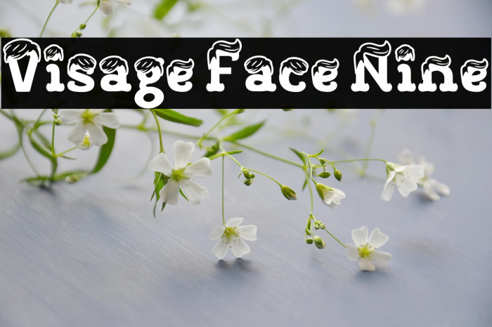 Visage Face Nine Fuentes examples
