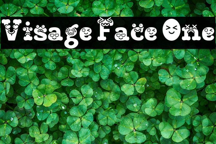 Visage Face One 字体 examples
