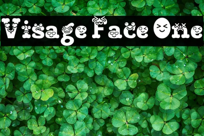 Visage Face One Example 3