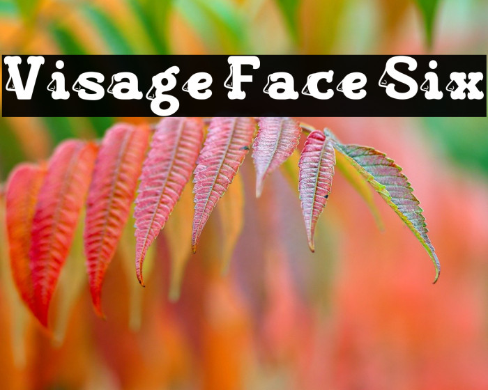 Visage Face Six Font examples