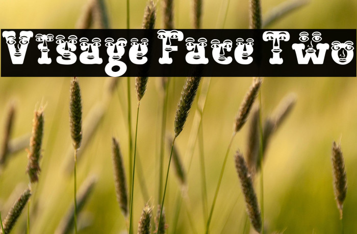 Visage Face Two Schriftart examples