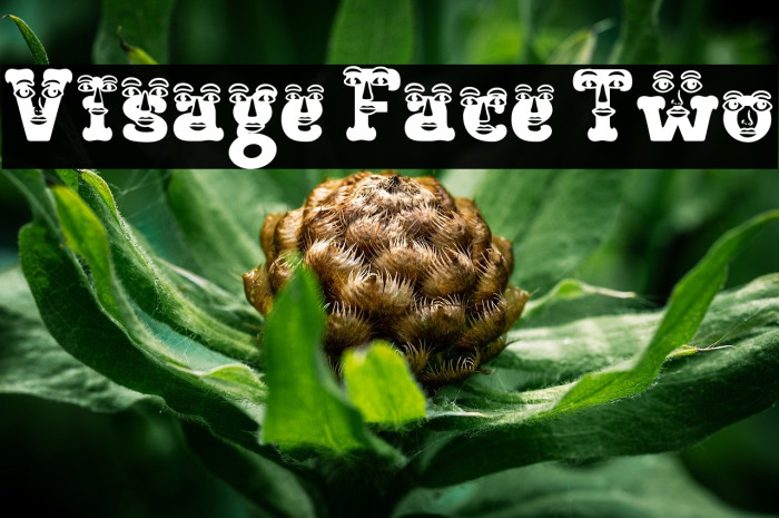 Visage Face Two Schriftart examples
