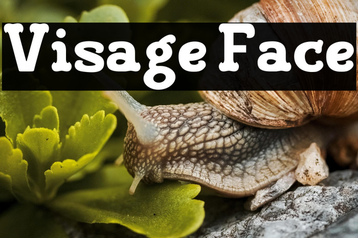 Visage Face फ़ॉन्ट examples