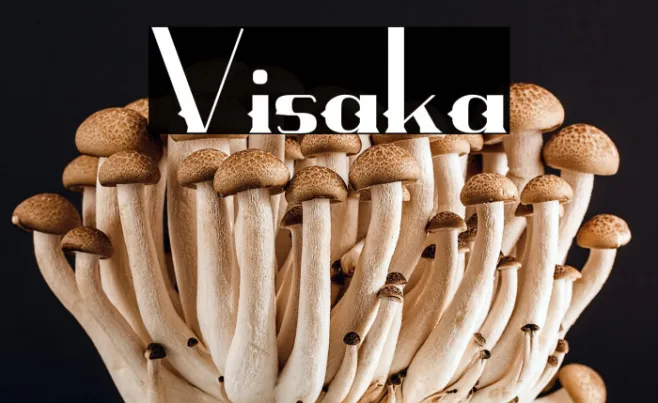 Visaka Example 3