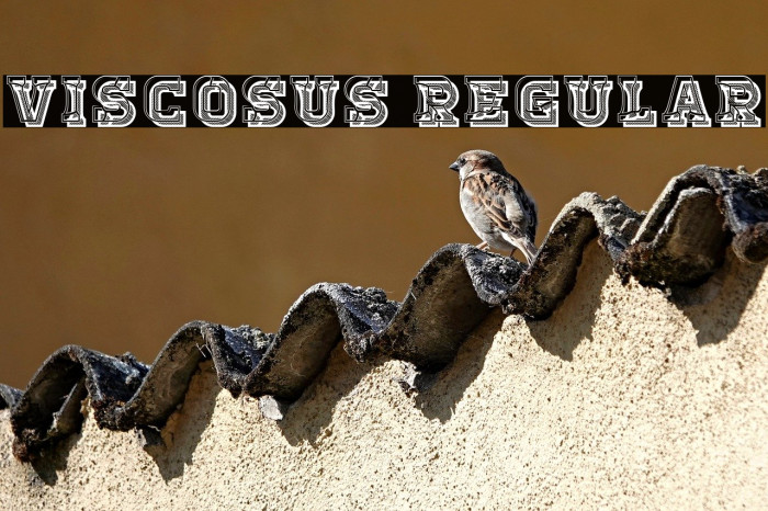 Viscosus Regular Example 1