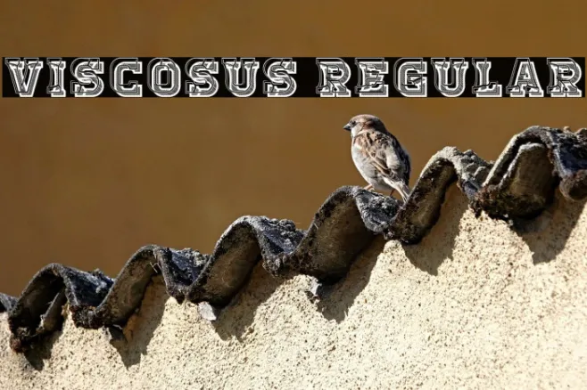 Viscosus Regular Example 1