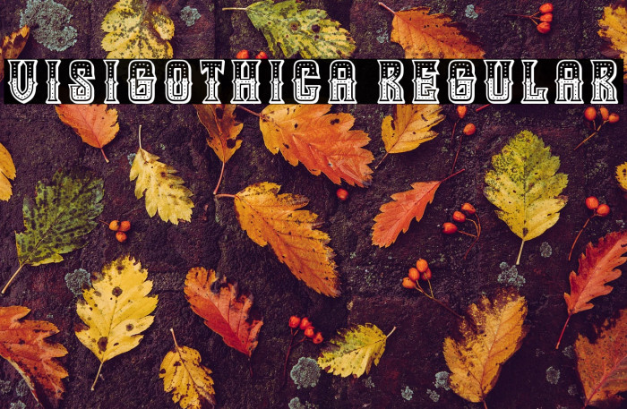 Visigothica Regular Example 3