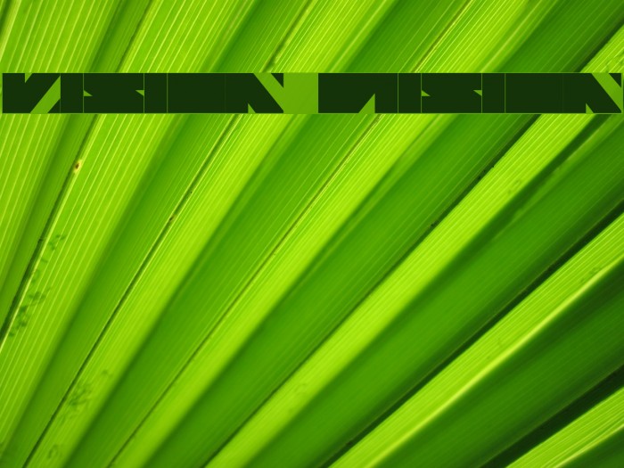 Vision Division Font examples