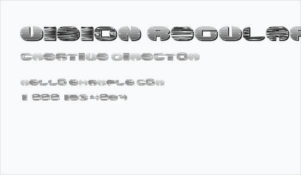 Vision Regular Business Card