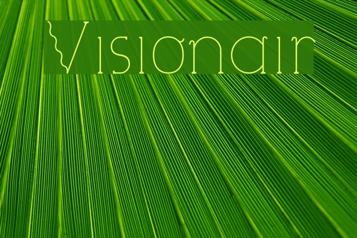 Visionair Font examples