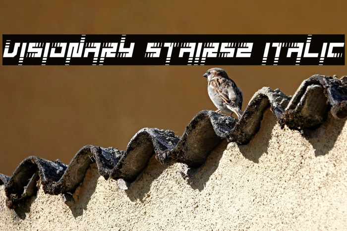 Visionary Stairs2 Italic Example 3