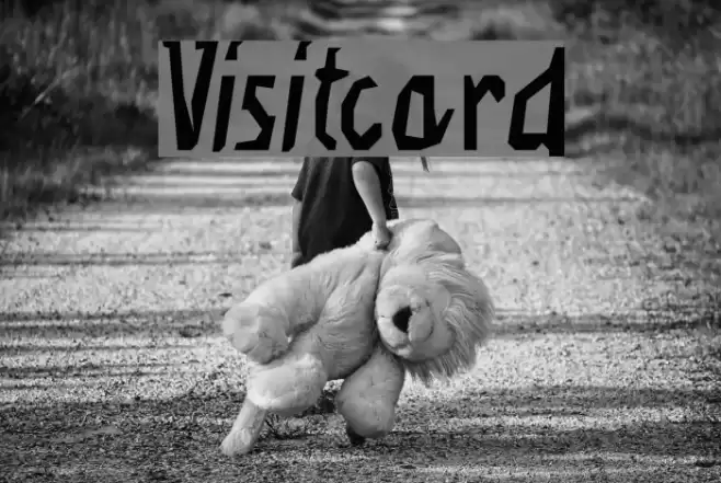 Visitcard Font examples