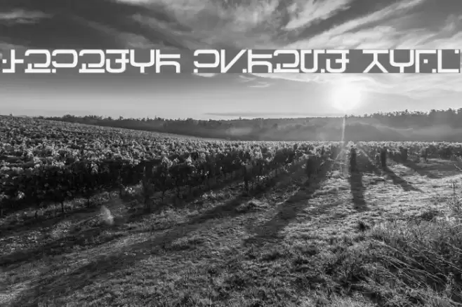 Visitor Script Bold Шрифта examples