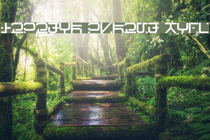 Visitor Script Bold Шрифта examples