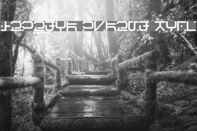 Visitor Script Bold Шрифта examples