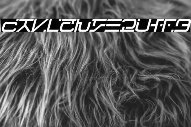 Visitor Script Italic Шрифта examples