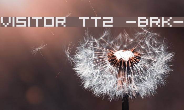 Visitor TT2 -BRK- Font examples