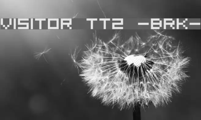 Visitor TT2 -BRK- خط examples