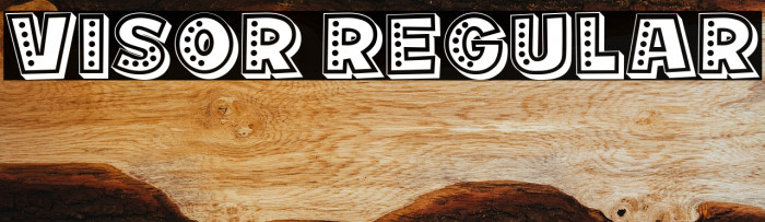 Visor Regular Example 2