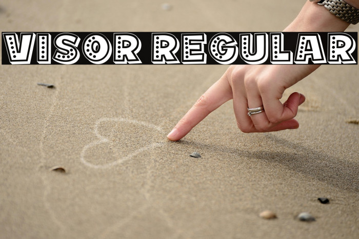 Visor Regular Example 3