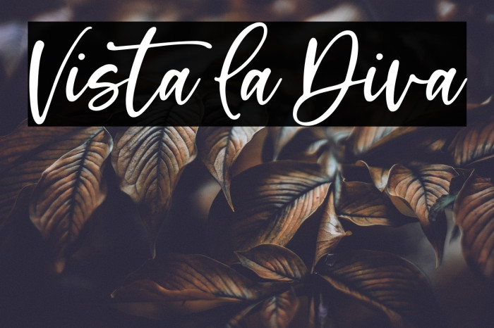 Vista La Diva Example 2
