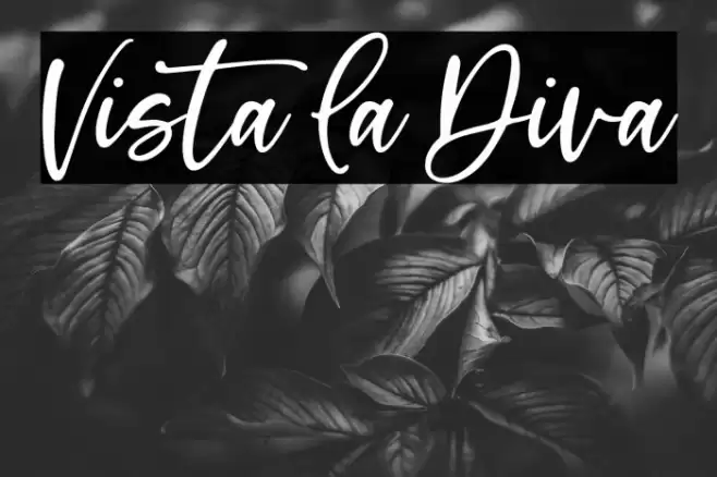 Vista La Diva Font examples