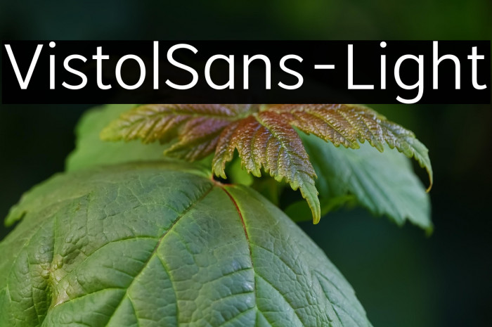 VistolSans-Light Example 2