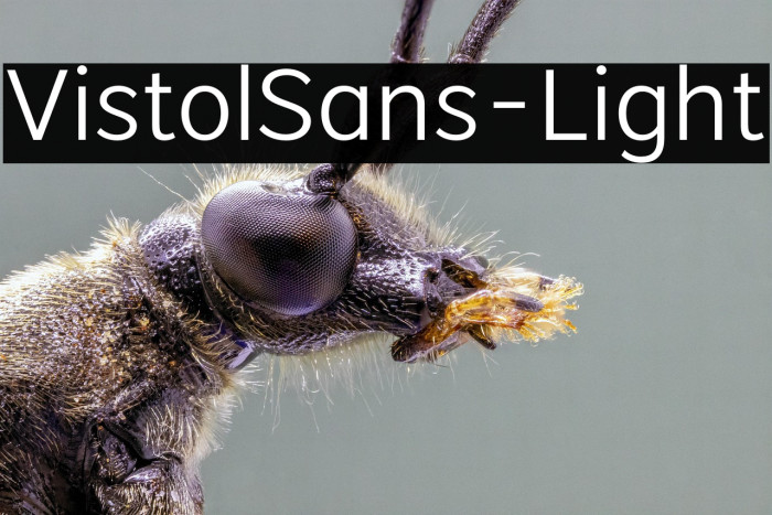 VistolSans-Light Example 3