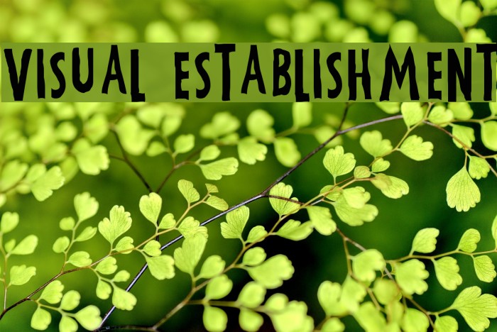 Visual Establishment Font examples