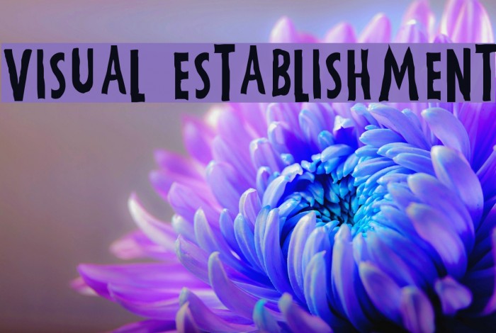 Visual Establishment Font examples