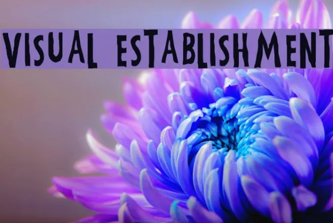 Visual Establishment Example 3