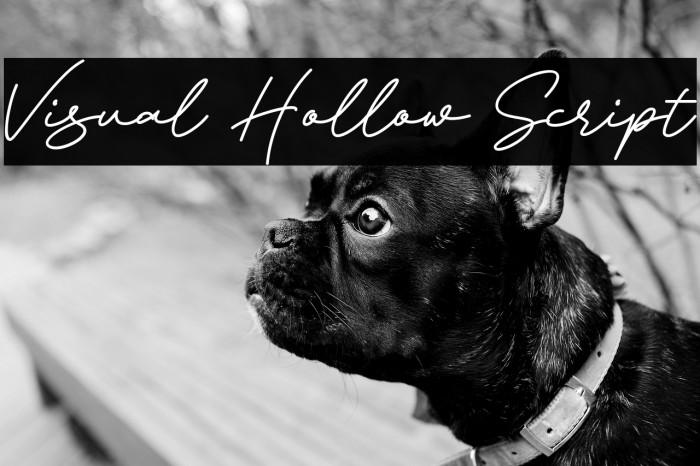 Visual Hollow Script Example 1