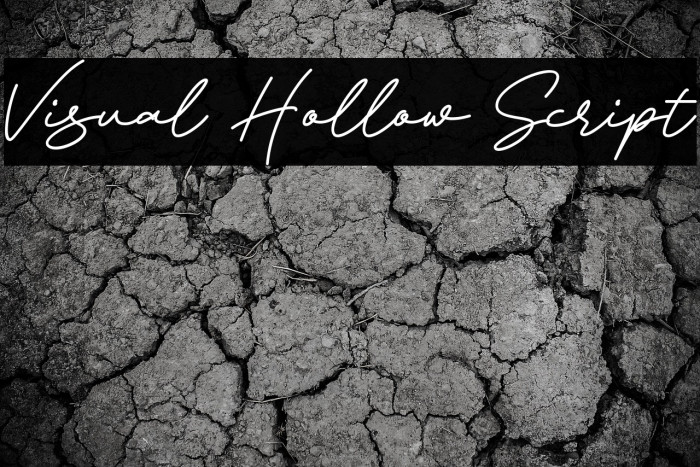 Visual Hollow Script Example 2