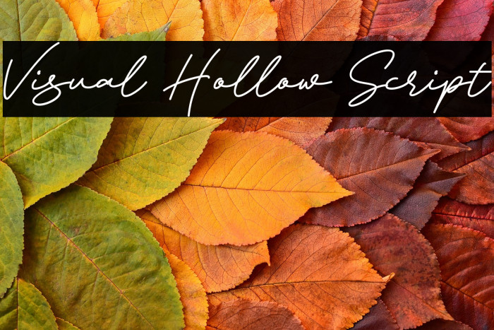 Visual Hollow Script Example 3
