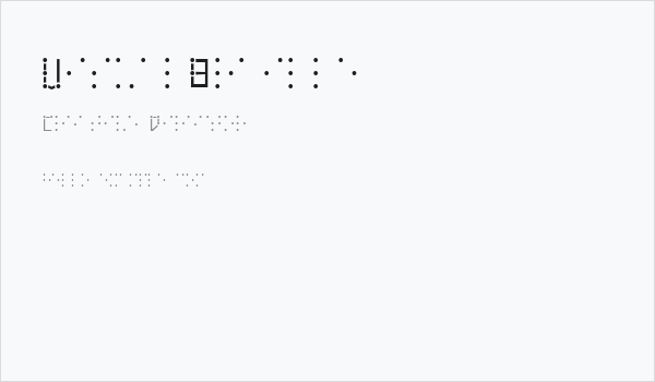 VisualBraille Business Card