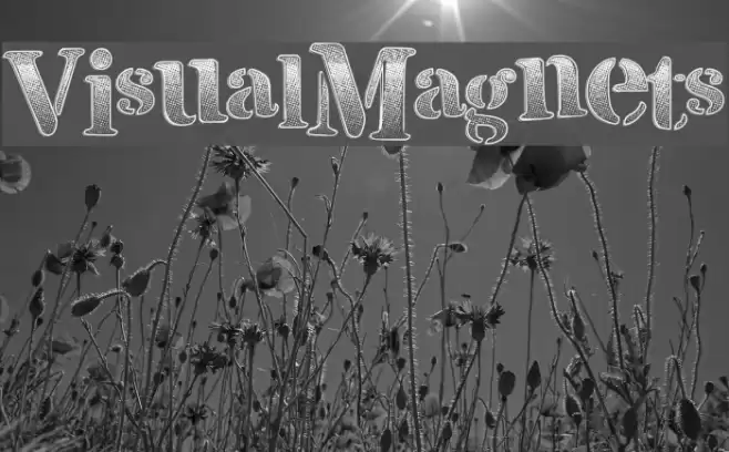 VisualMagnets フォント examples