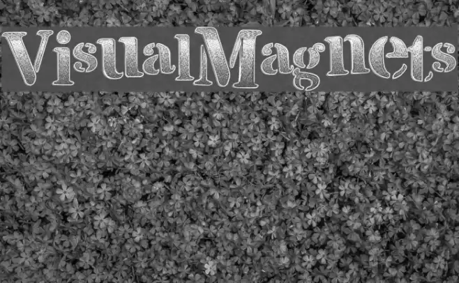 VisualMagnets フォント examples