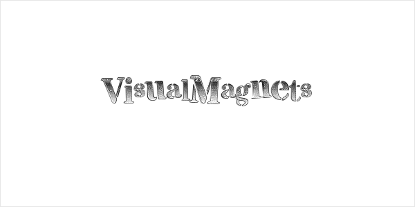 VisualMagnets Logo