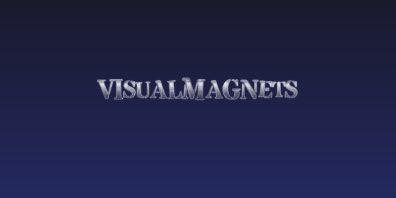 VisualMagnets Social Header