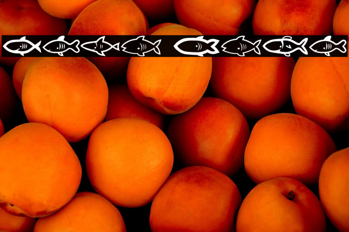 Visvang Regular Example 2