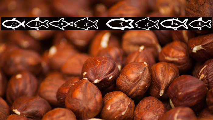 Visvang Regular Example 3