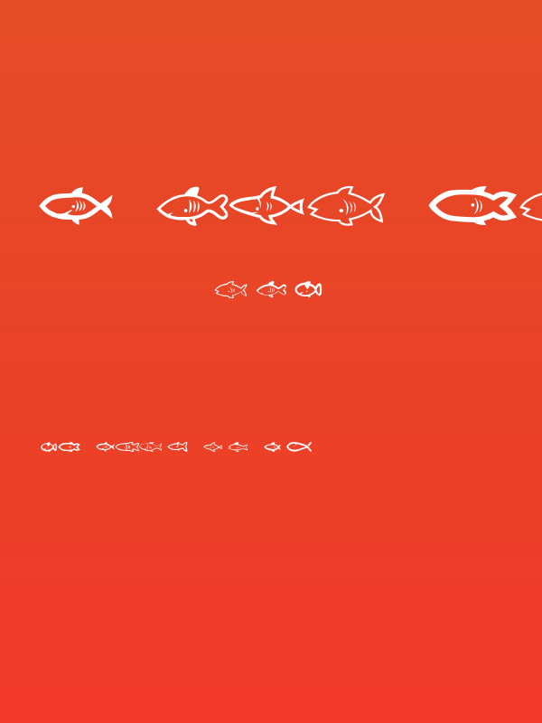 Visvang Regular Poster