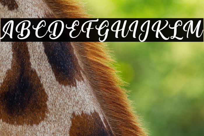 Vitalia Sesha Example 2