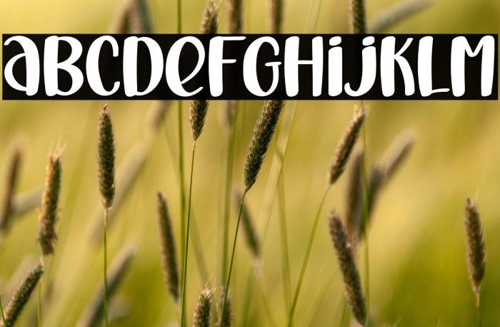 Vitamin Sea Example 2